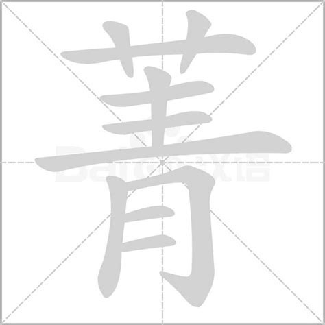 菁意思名字|菁字五行属什么